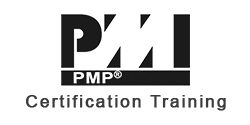 pmi logo